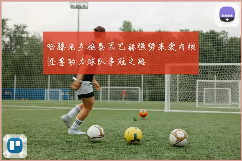 哈滕老乡施泰因巴赫强势来袭内线怪兽助力球队争冠之路